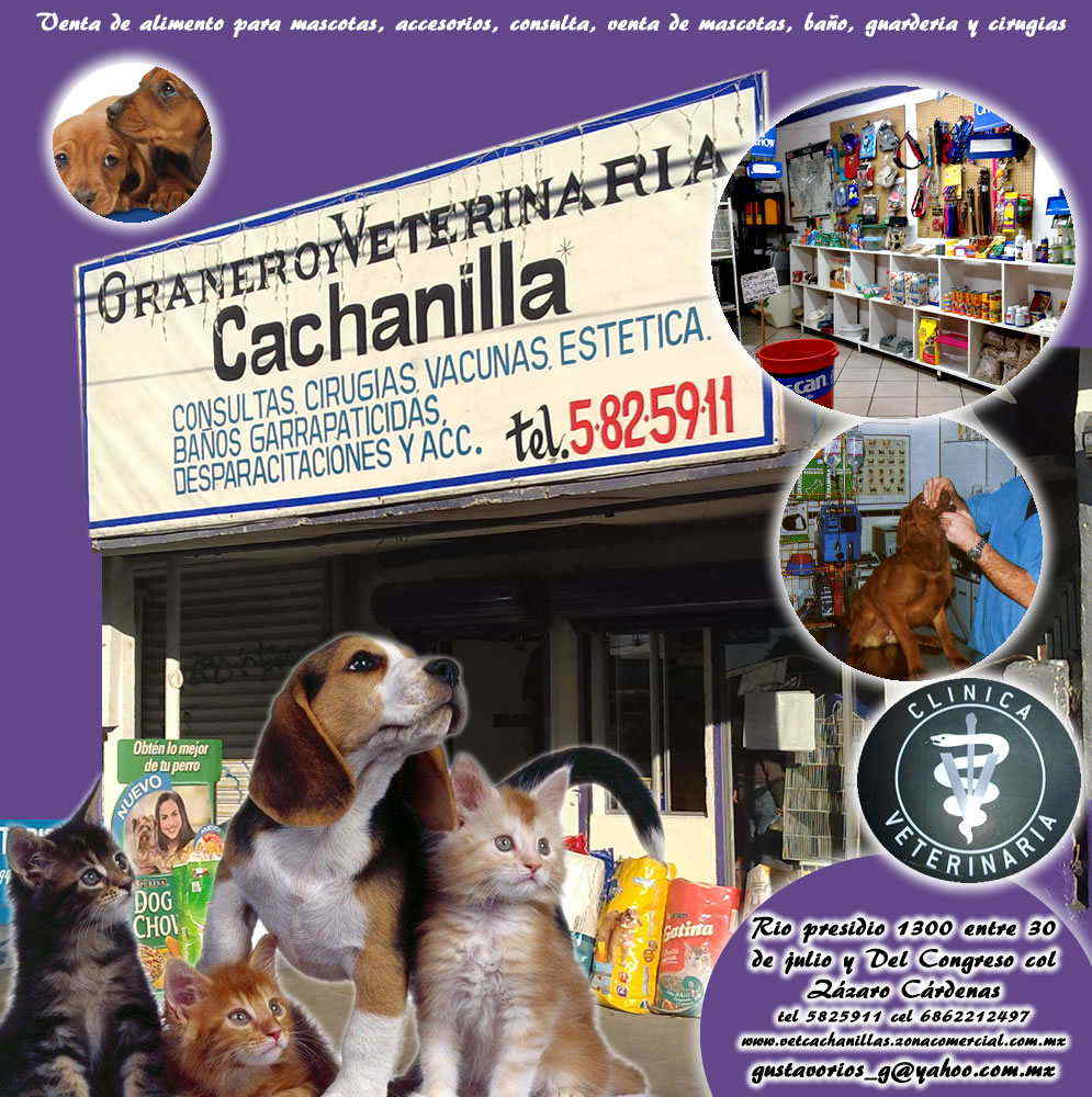 Granero y Veterinaria Cachanilla
