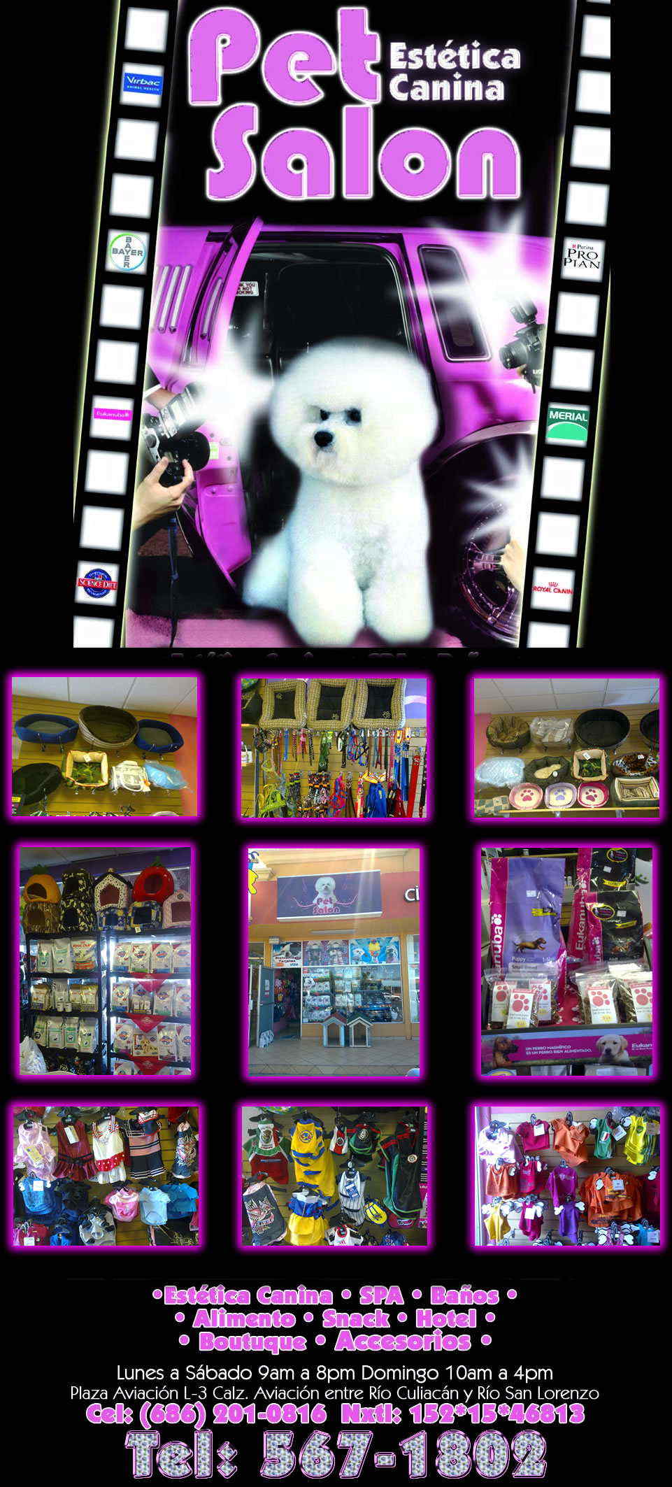 Pet Salon