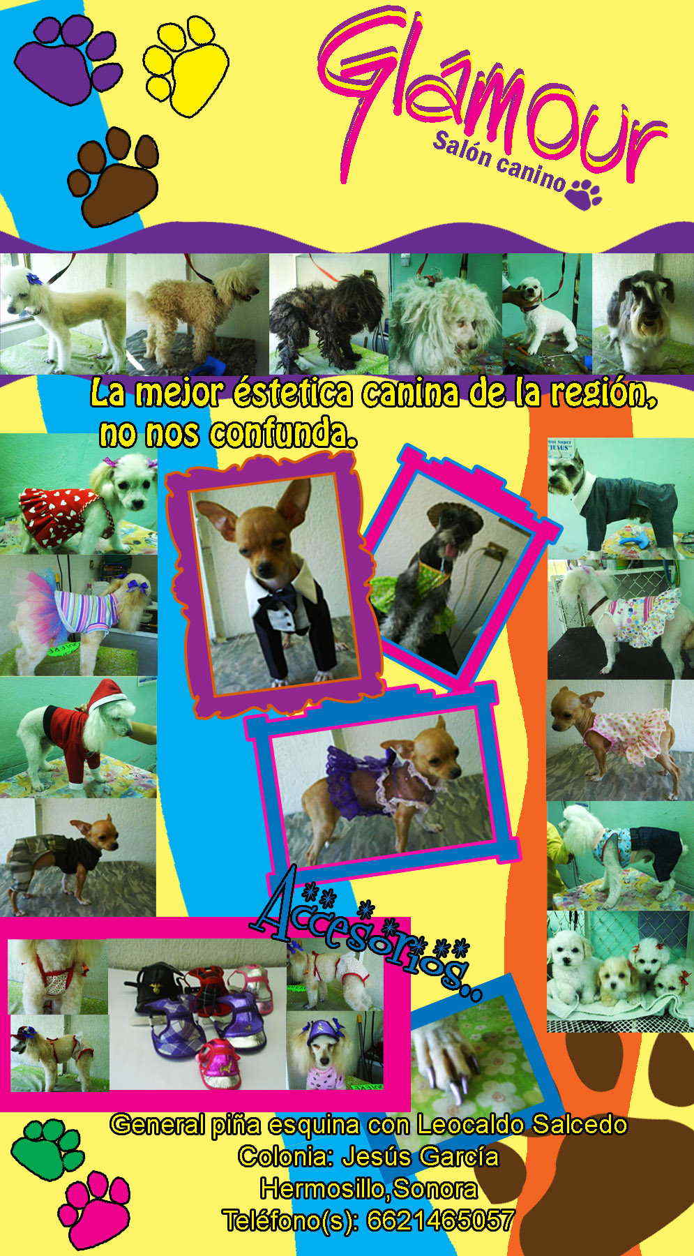 Salón canino Glamour