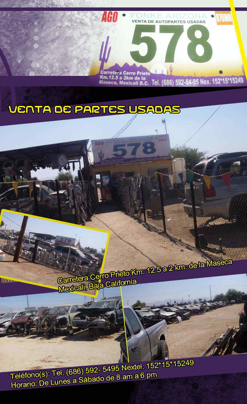 YONKE ARIZONA 578