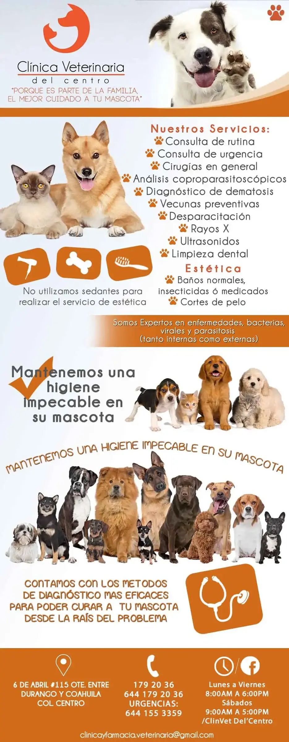Clínica Veterinaria Del Centro